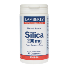 Lamberts Silica 200mg 90caps