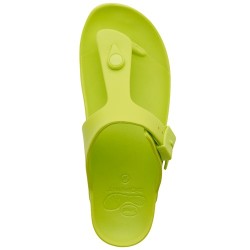 Scholl Σάγιοναρες Βahia...