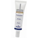 FREZYDERM SPOT-END CORRECTIVE 30ml