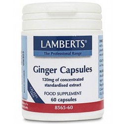 Lamberts - Ginger 120mg, 60 Caps