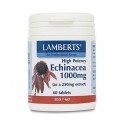Lamberts - Echinacea 1000mg, 60 Tabs