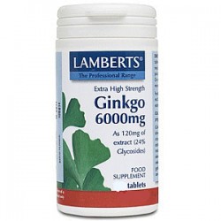 Lamberts - Ginkgo Biloba Extract 6000mg, 30 Tablets