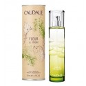 CAUDALIE Fleur de Vigne Fresh Fragrance 50m