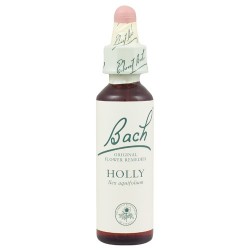 POWER HEALTH - Bach Holly, 20 ml