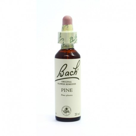 POWER HEALTH - Bach Pine 20ml