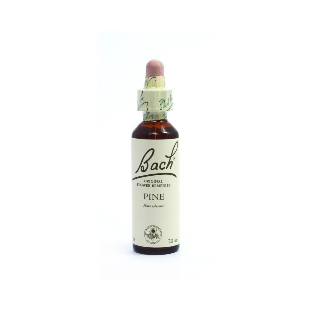 POWER HEALTH - Bach Pine 20ml