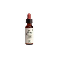 POWER HEALTH - Bach Holly, 20 ml