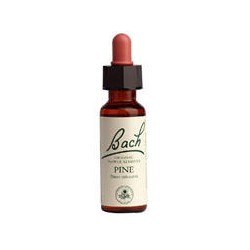 POWER HEALTH - Bach Pine 20ml