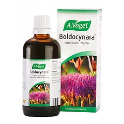 A.VÓGEL - Boldocynara 50ml